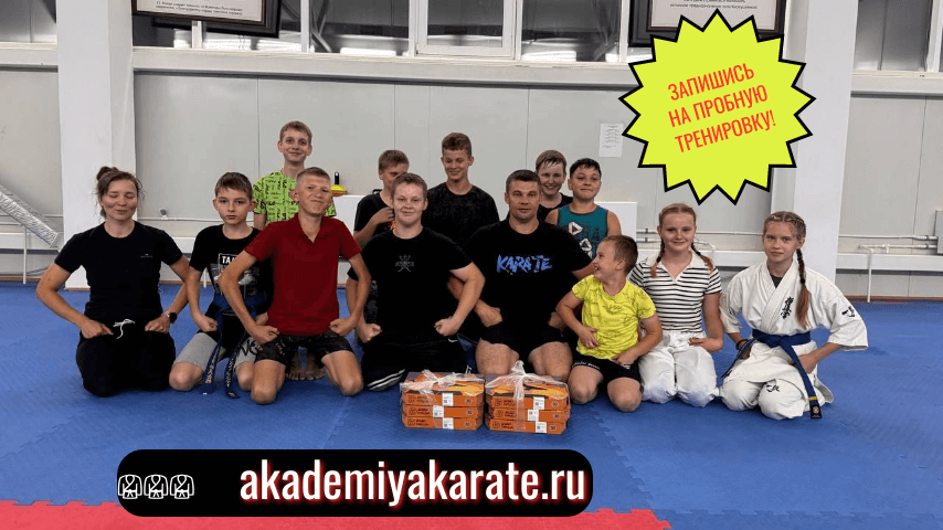 Академия Каратэ