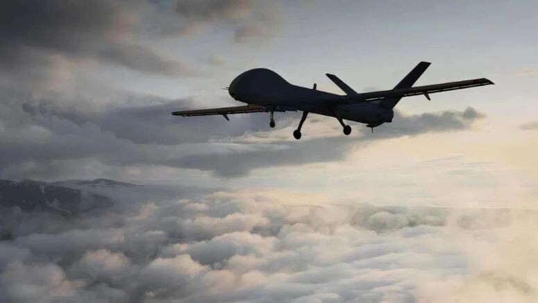    Фото: marina.rodrigues/Shutterstock/Fotodom