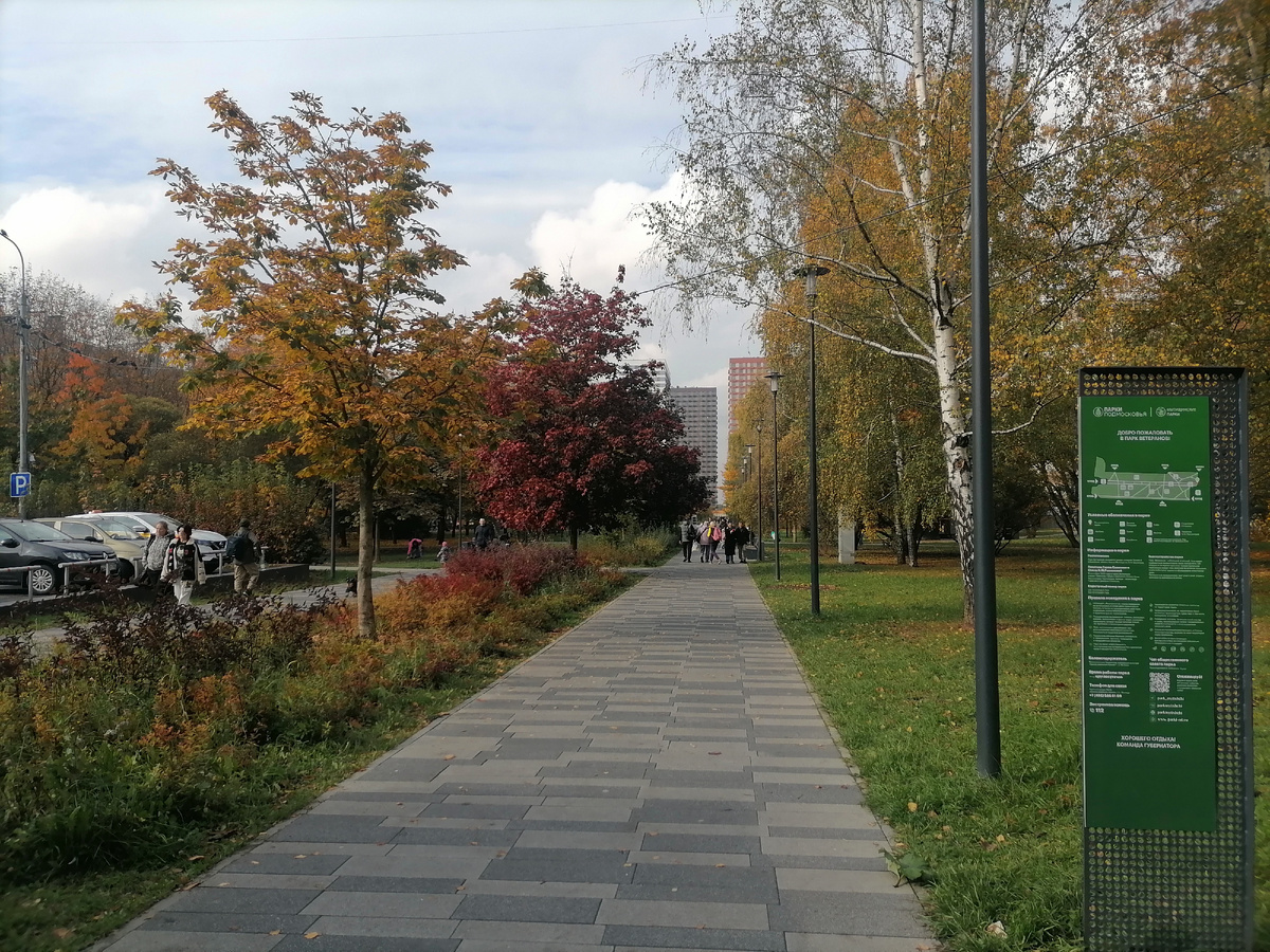 Осень в городе