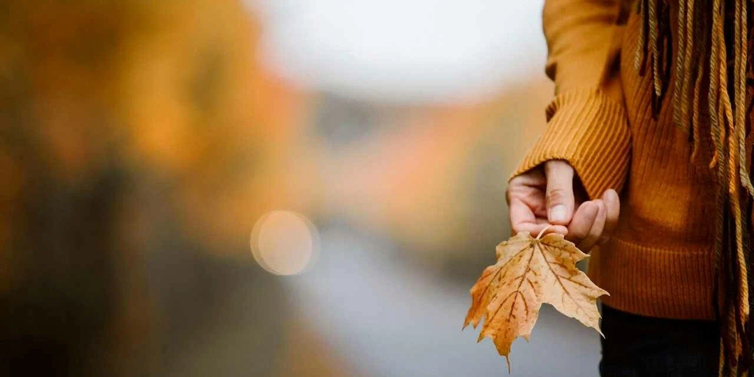 Уйдёт октябрь