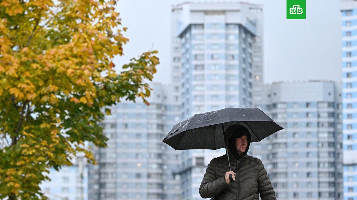    Фото: РИА Новости © 2025, Сергей Бобылев