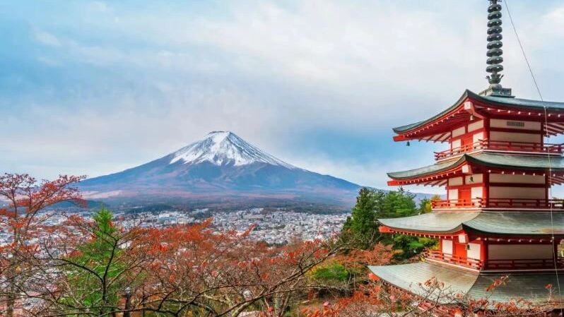    Фото: Summit Art Creations/Shutterstock/Fotodom