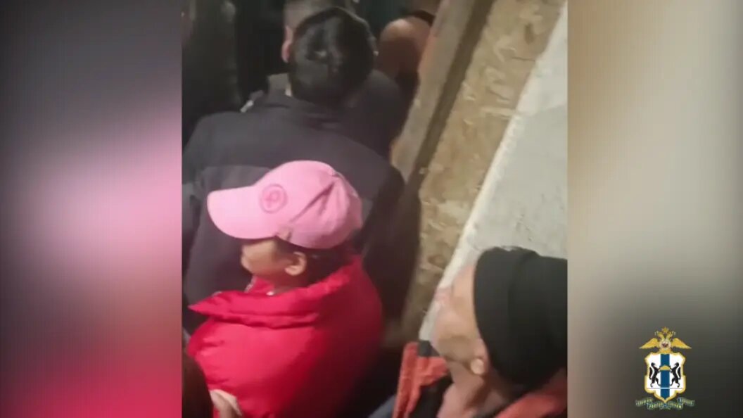    фото: скриншот видео t.me/mvd_54