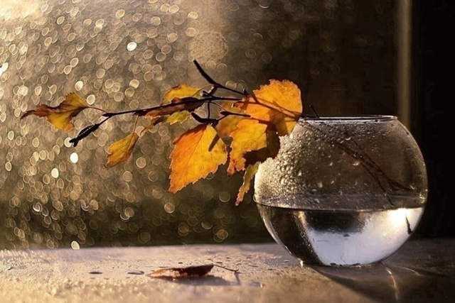 фото из открытых источников интернет