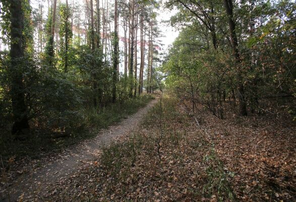    Фото: Игорь Филонов