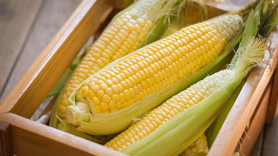 Здесь и далее: ShutterStock/Fotodom.ru