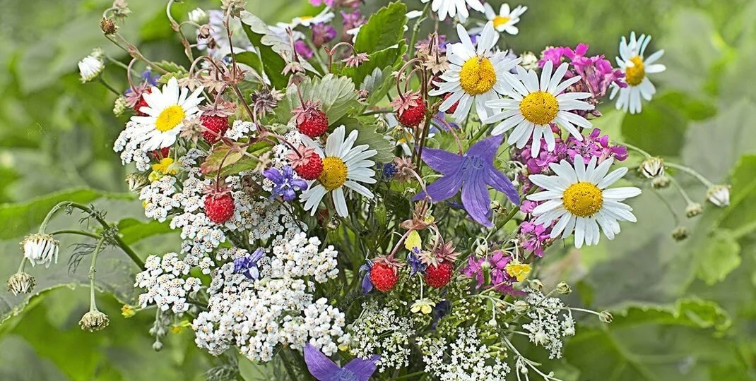 Букетик полевых цветов