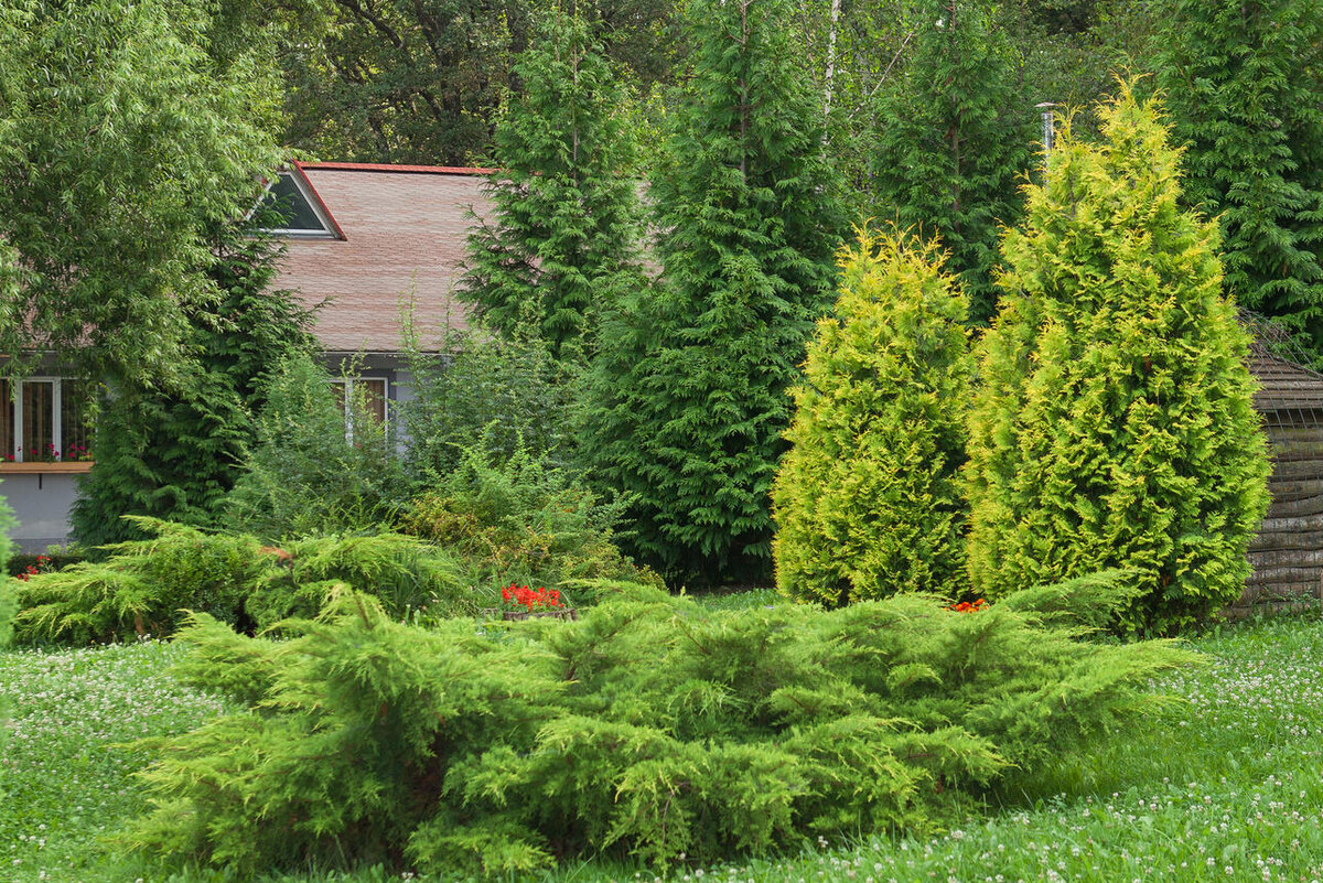     123RF/legion-media.ru