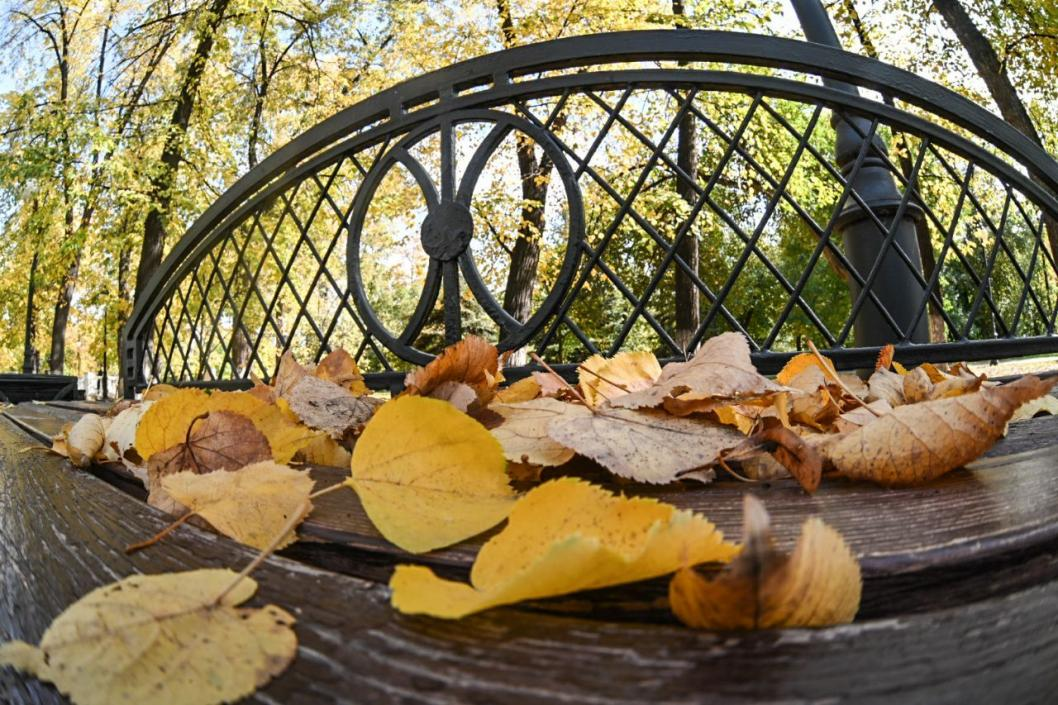 Фото: Сергей Елесин, ИА "Тюменская линия"