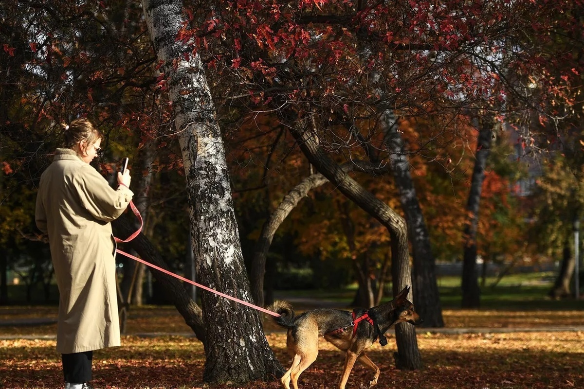    Фото: Александр Кряжев, источник: ria.ru