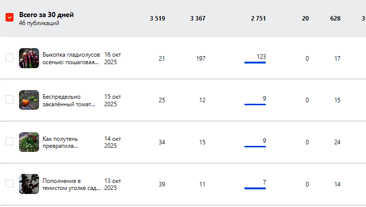 Скринщот с канала «Сад небесной росы»