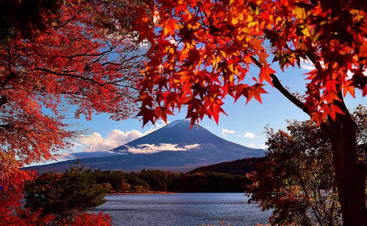    Российский турпоток в Японию побил исторический рекорд