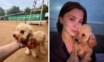    Источник фото: