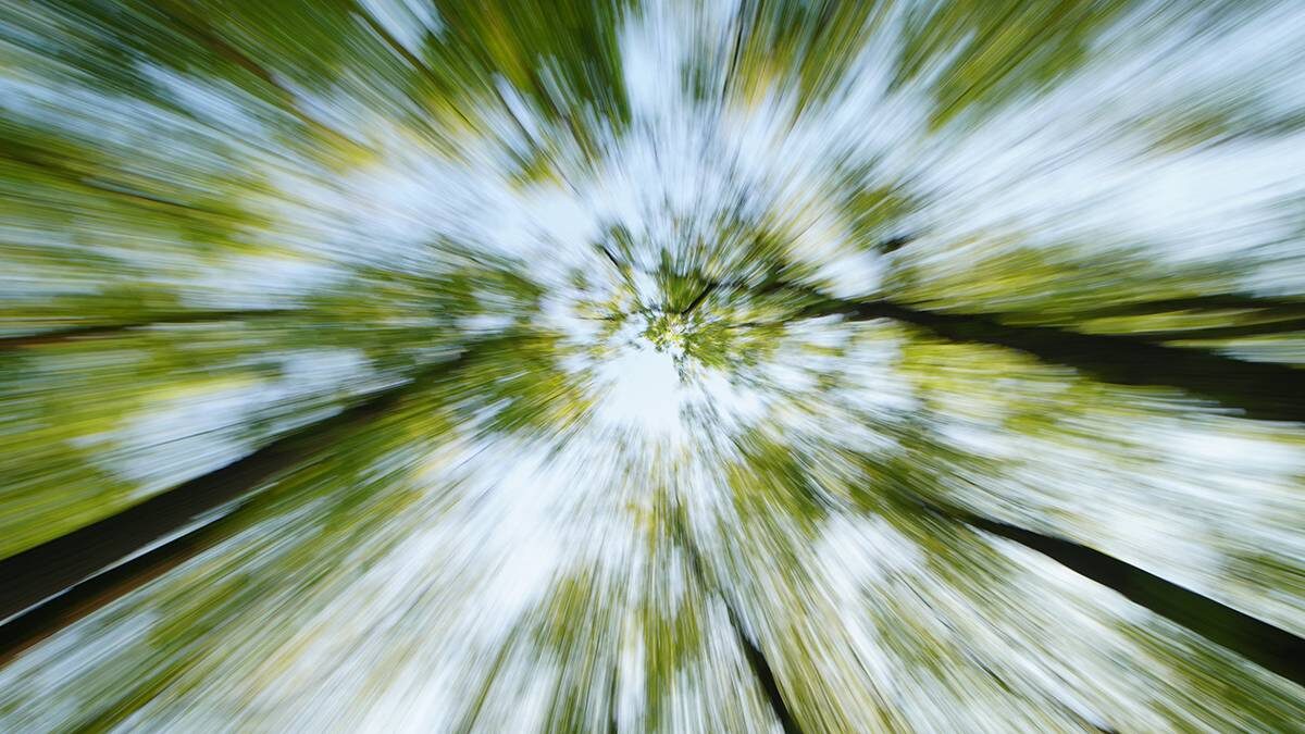    Фото: Анатолий Цымбалюк / Вечерняя Москва