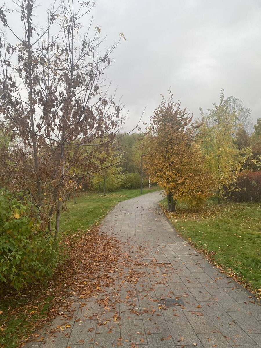 фото автора канала