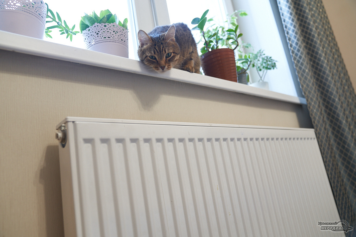    Фото: Лидия Аникина © ИА «Уральский меридиан»