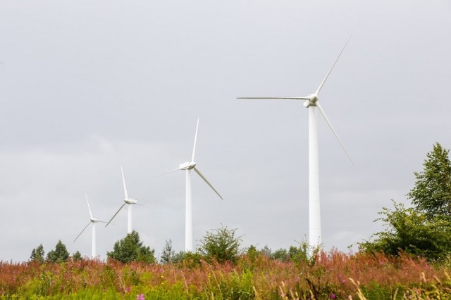   Фото из архива Калининград.Ru