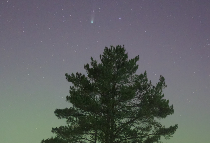 фото: Катя Стрельникова/АстроФотоБолото