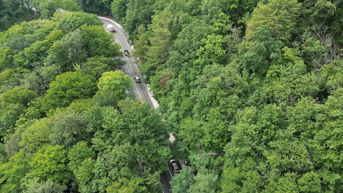    Фото: телеканал «Краснодар»