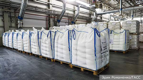     Фото: Эрик Романенко/ТАСС   
 Текст: Мария Иванова