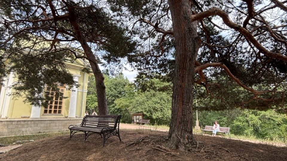 После тишины — дыхание. Часть первая (backstage)