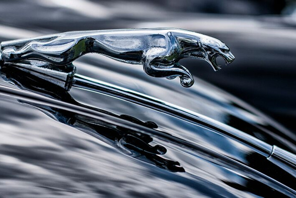      Grahame Jenkins/Unsplash