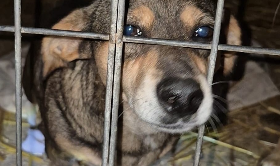 ❌На оплату ремонта крыши не собрали