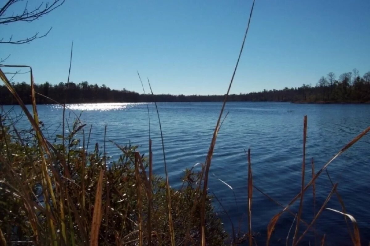    В Ленобласти любовник жены бойца СВО убил и утопил его, обвязав тело цепью