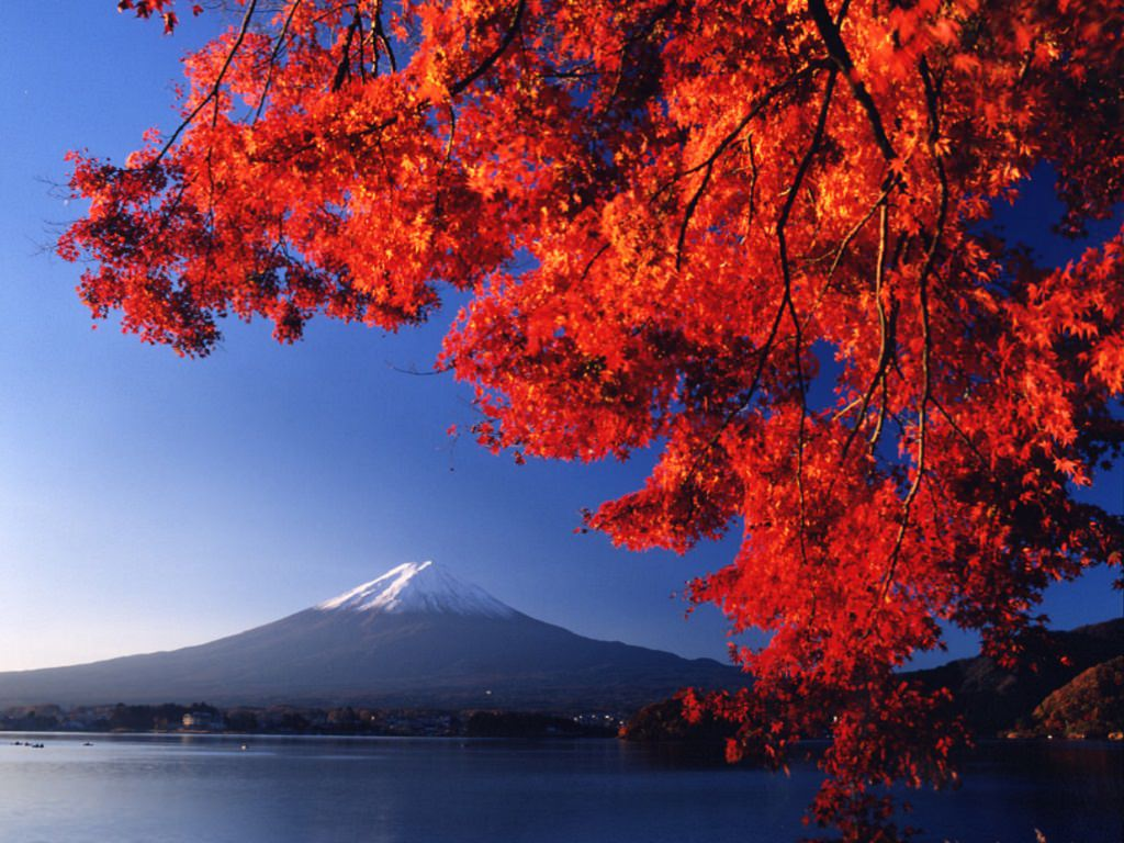 Фото не мое. Пока:)