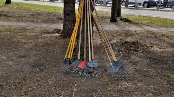    © Sputnik / Виктор Толочко