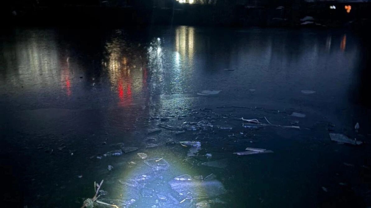    Фото: t.me/nsksledcom