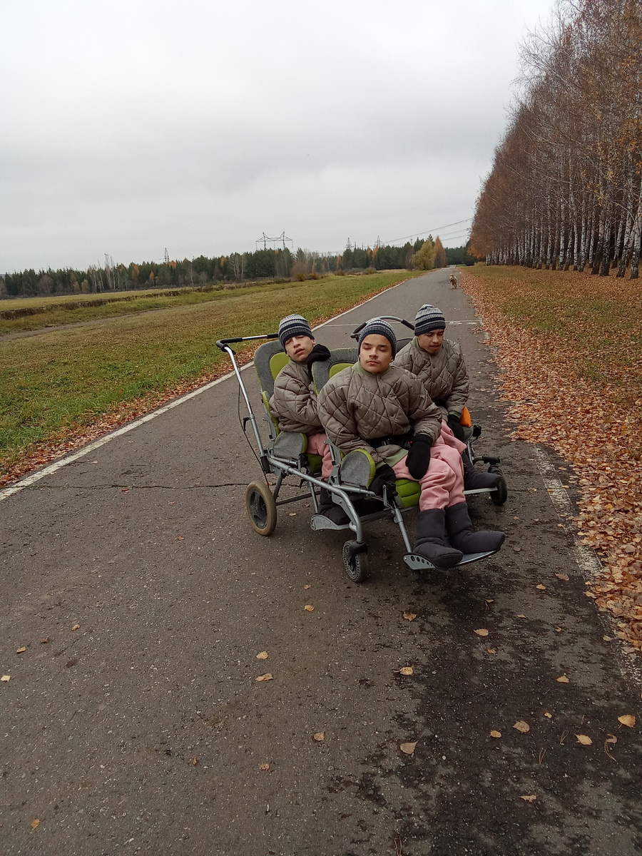 Лес уже голый совсем. Но погода еще хорошая