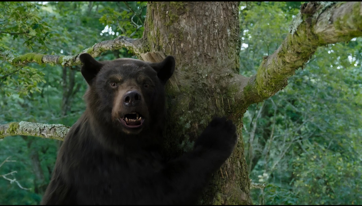 Изображение из интернета 