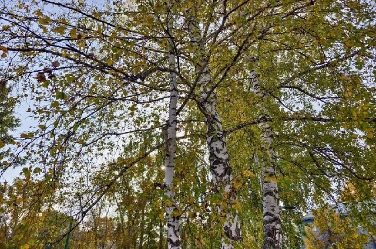    В Крыму 17 октября воздух прогреется до +17 градусов, осадков не будет