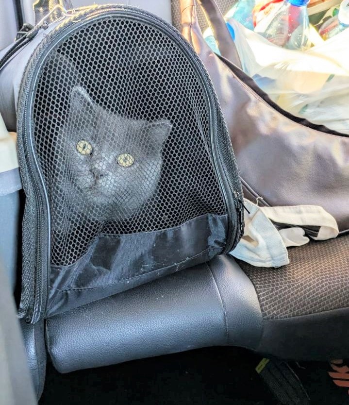 Барбариса: "Остановите авто, я слезу!"