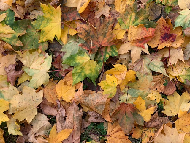 фото мое 2025