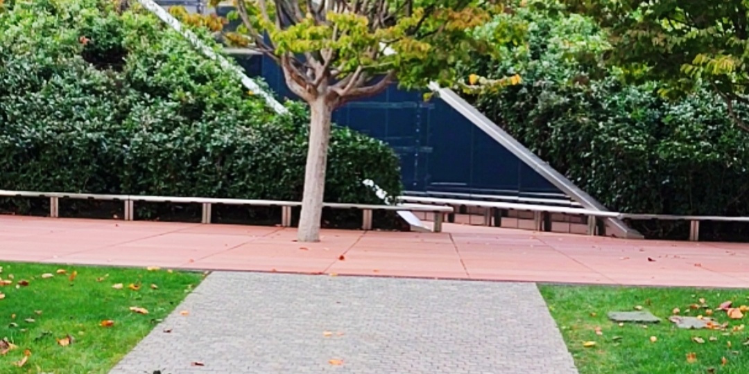 💖Парк Галицкого начали готовить к зиме.