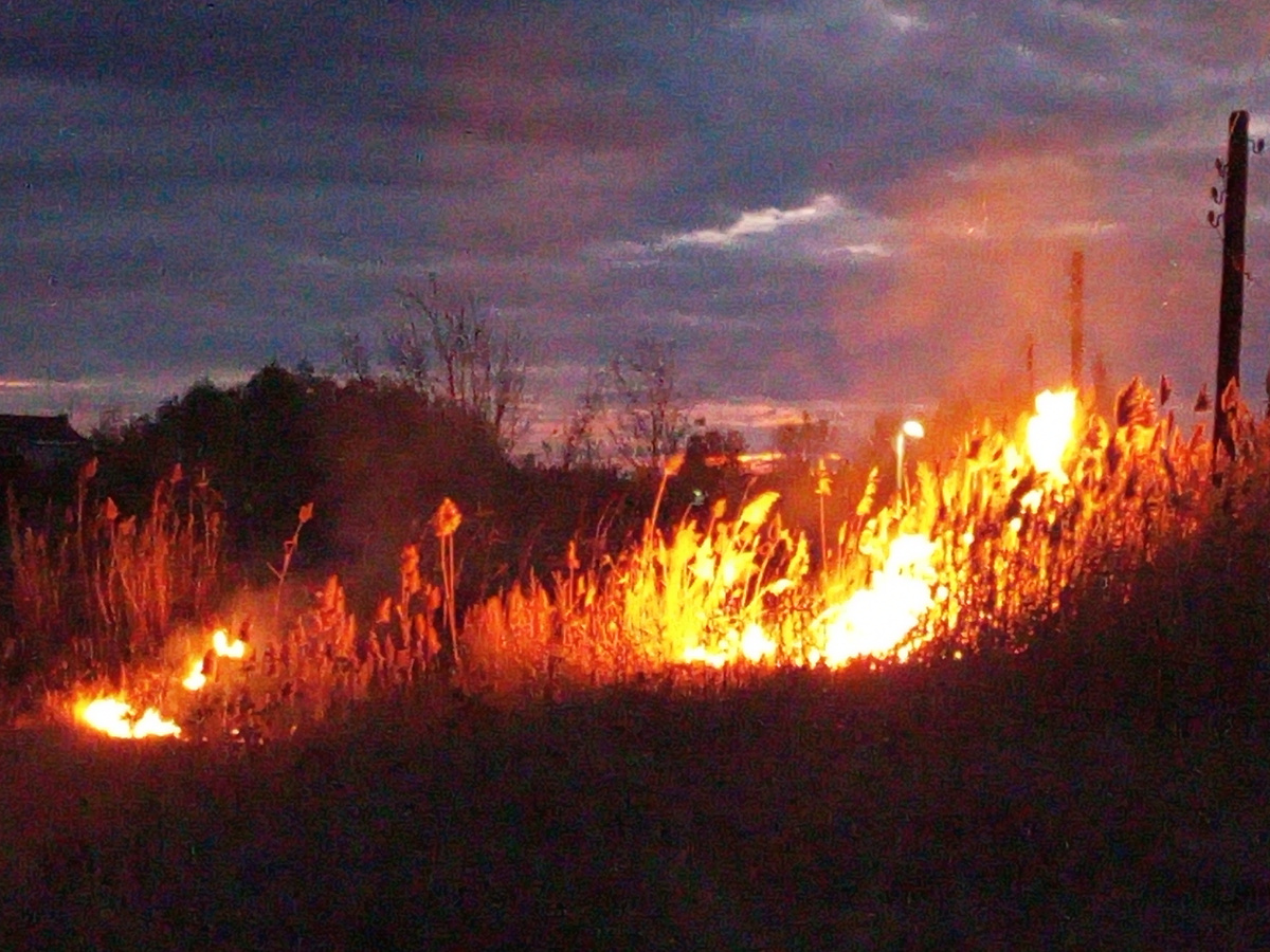 И ночью раздувает.