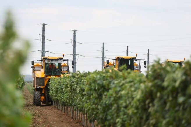    t.me/yuriy_burlachko