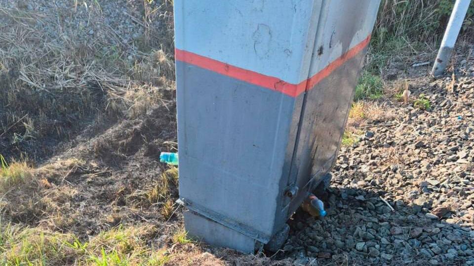    Фото: t.me/mvdszfo