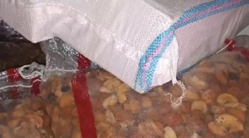 Фото: Уральское межрегиональное управление Россельхознадзора