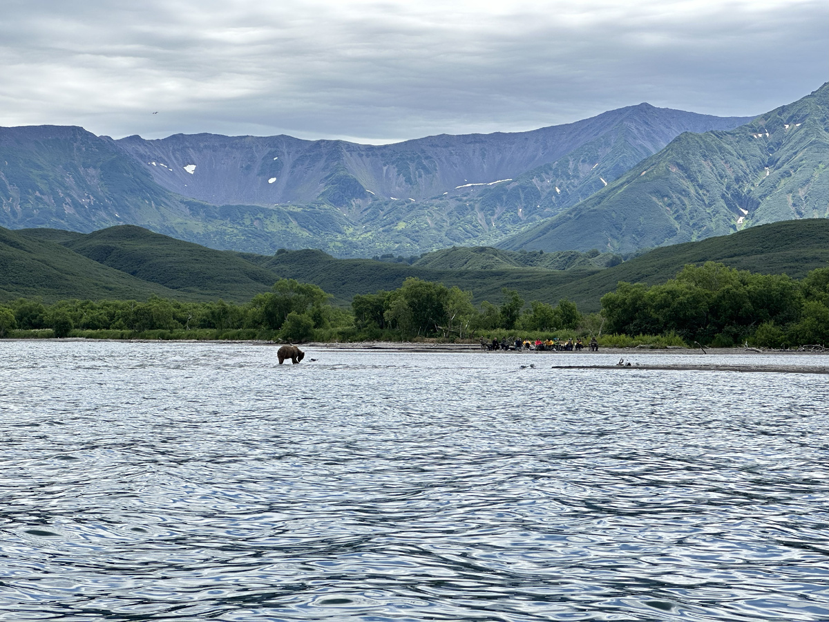 Медвежонок на Курильском озере