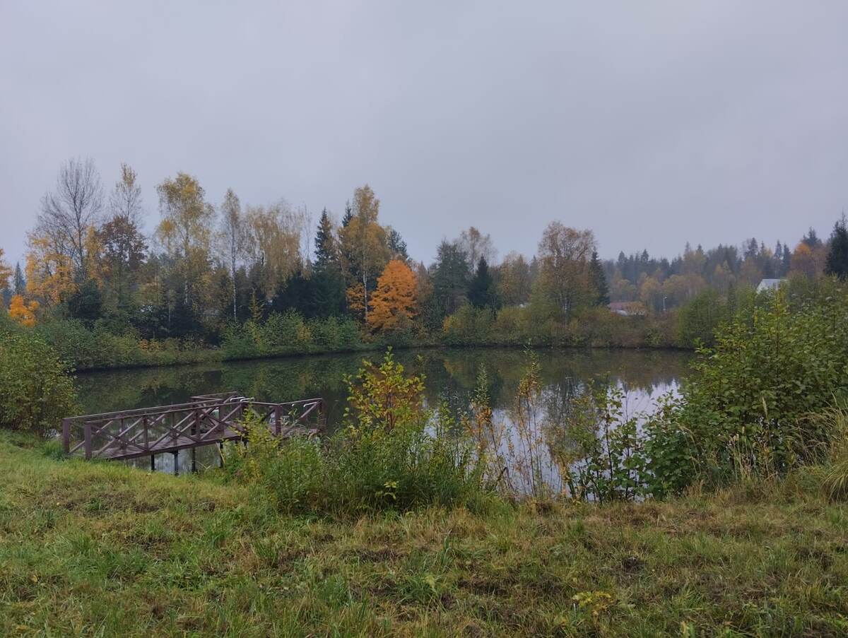 Ещё кусочек нашей осенней природы вам в ленту ))