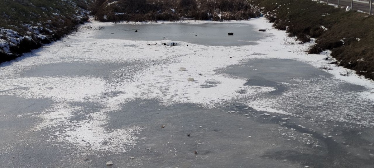 Фото: телеканал «Краснодар»