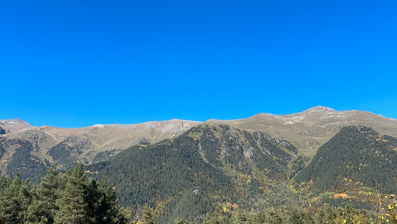      Фото: ИА «Победа26»