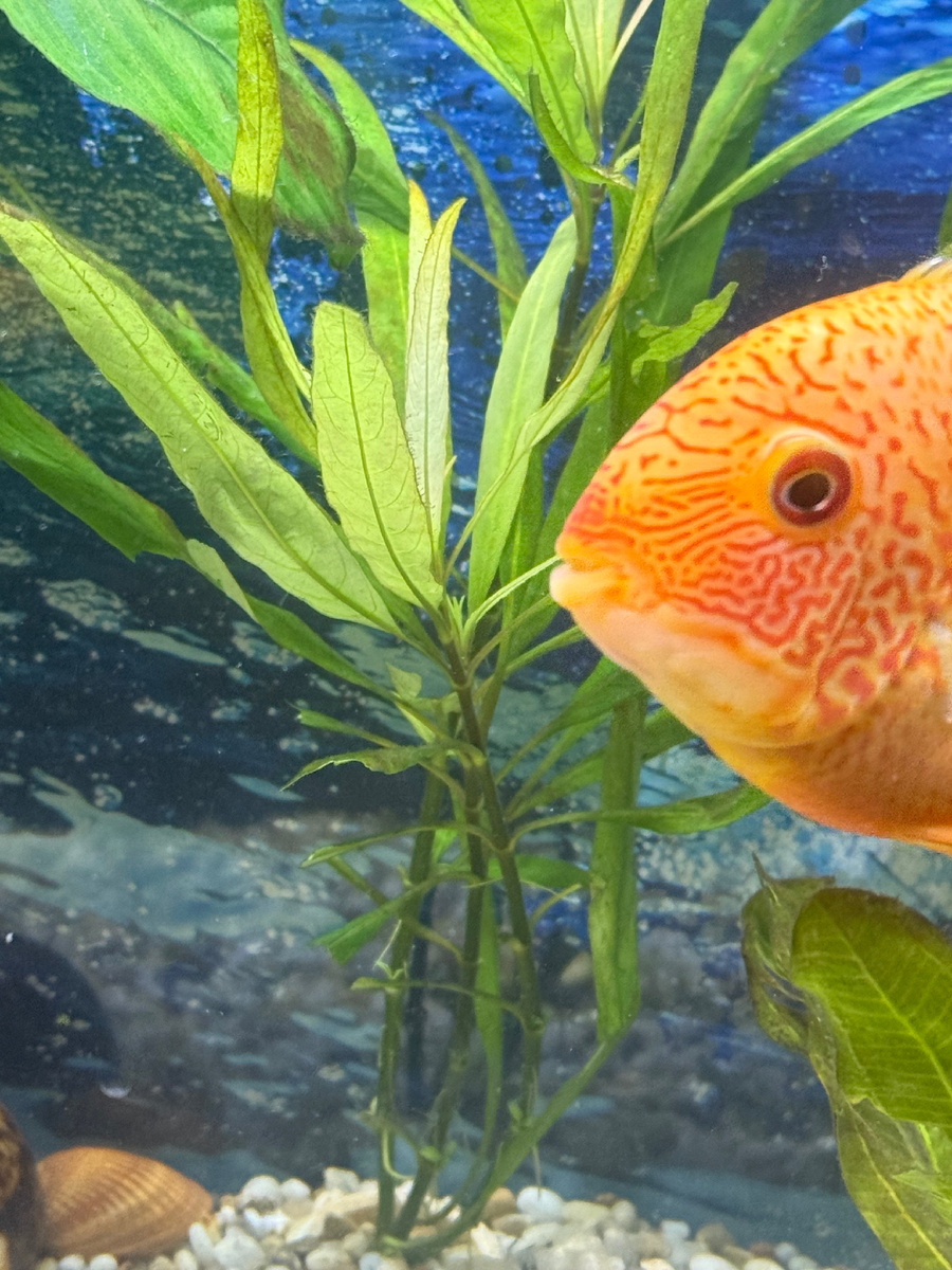 Аккуратная работа, все ровненько