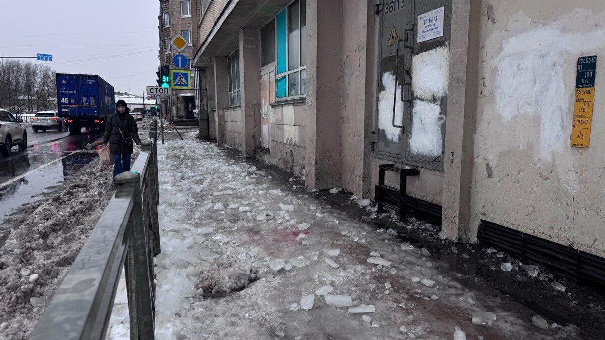    Фото: t.me/GATISpb