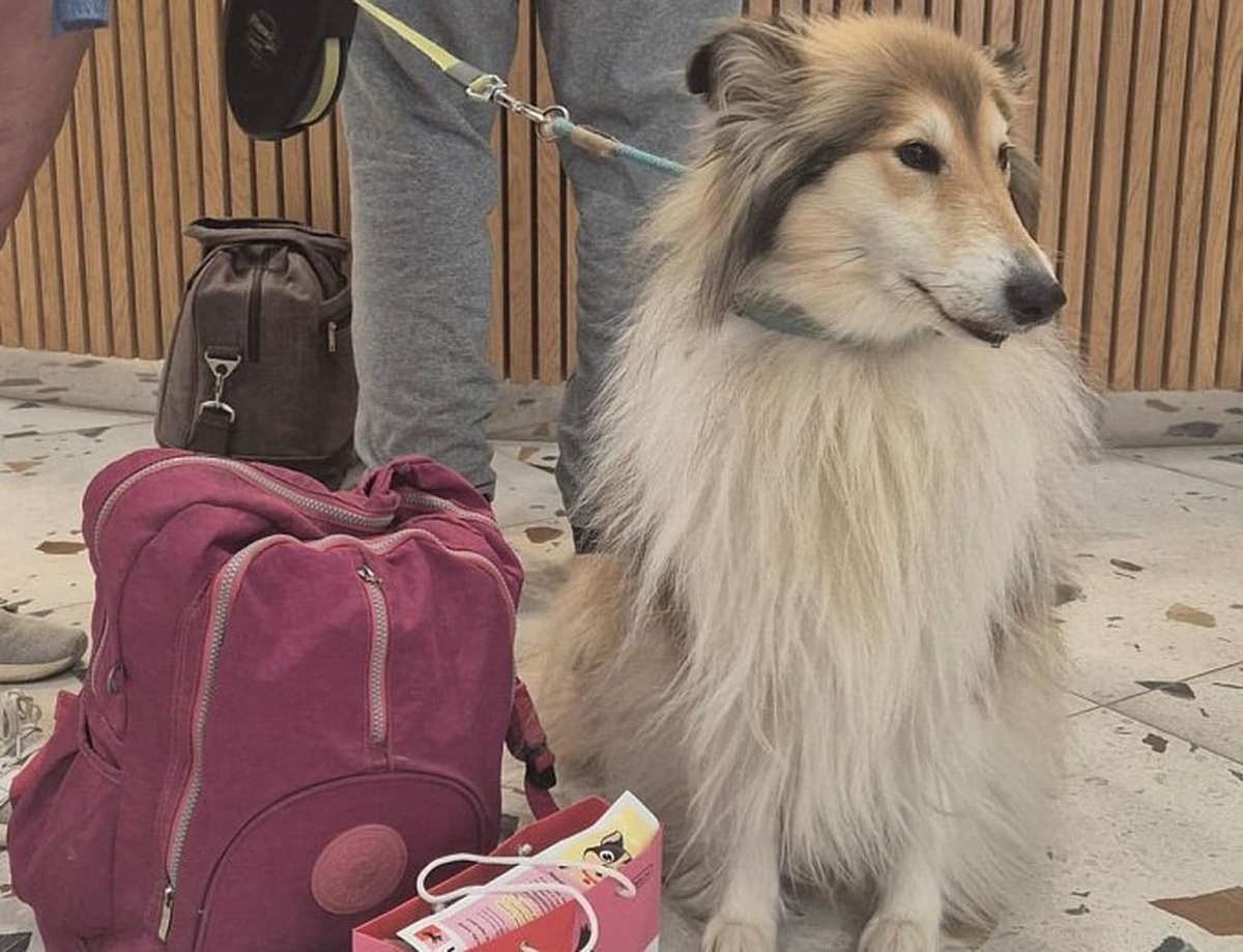    Фото пресс-службы «Роза Хутор»