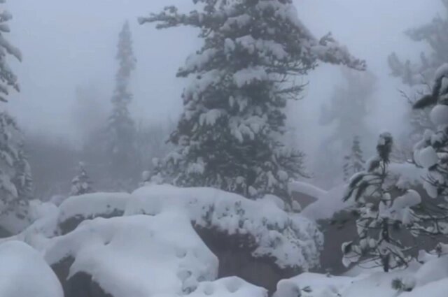    Место поиска пропавшей семьи Усольцевых завалило снегом. Фото: Лиза Алерт