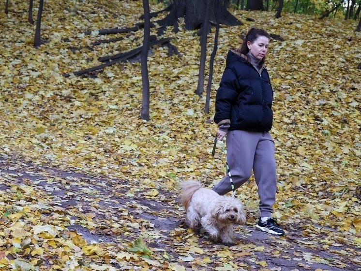     Фото: Belkin Alexey/news.ru/Global Look Press